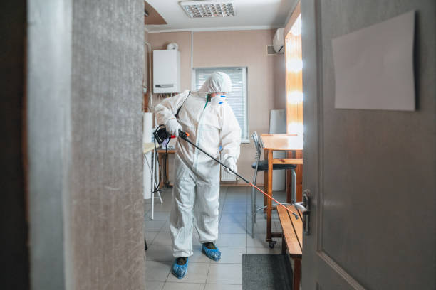 Best Attic Mold Removal  in Fort Oglethorpe, GA