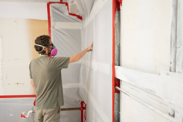 Best Mold Removal for HVAC Installations  in Fort Oglethorpe, GA