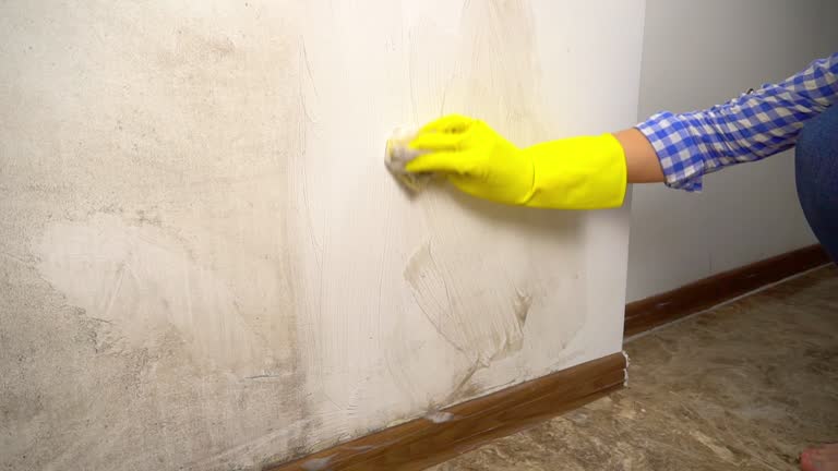 Best Mold Documentation for Insurance Claims  in Fort Oglethorpe, GA