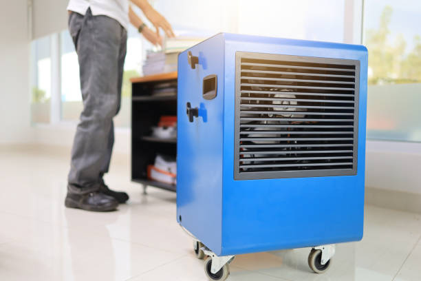 Best Emergency Mold Remediation  in Fort Oglethorpe, GA
