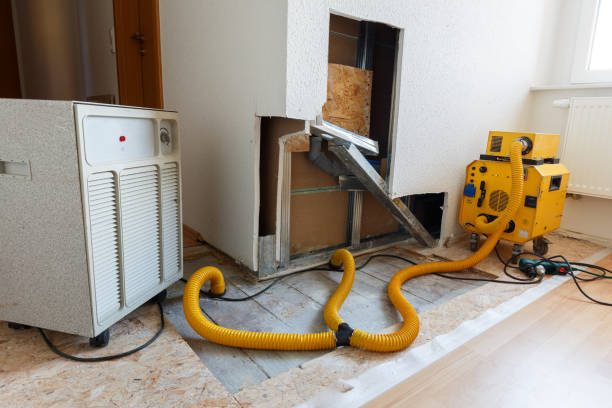 Best Mold Removal for HVAC Installations  in Fort Oglethorpe, GA